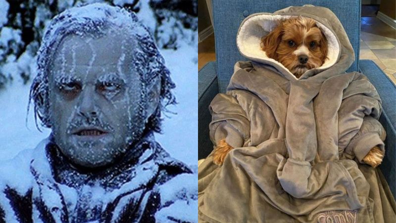 11 Things You Need This Winter If You’re Constantly Freezing & Constantly Annoying People About It