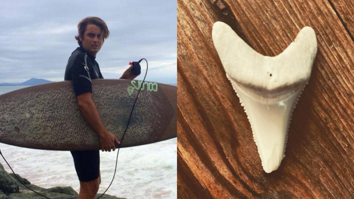 Chris Blowes, surfer, shark