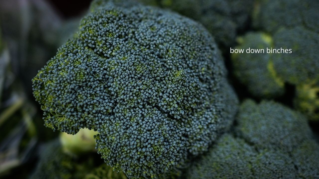 Domino’s Is Adding Broccoli As A Topping & Finally, Someone Recognises The Superior Vegetable