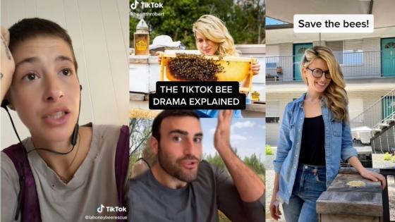 A Deep-Dive Into The Massive Feud Between Two TikTok Beekeepers That’s Gone Hyper Viral