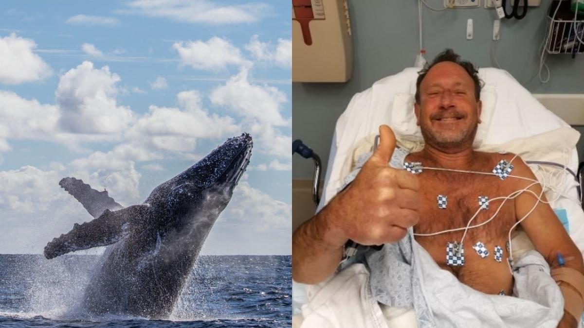 Man eaten by whale survives