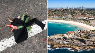 Some Sicko Is Planting Dog Baits Made Of Broken Glass & Chicken Feet On The Streets Of Bondi