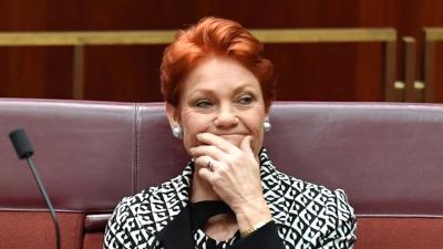 The Senate Managed To Nix The Govt’s Anti-Renewables Plan ‘Cos Pauline Hanson Skipped The Vote