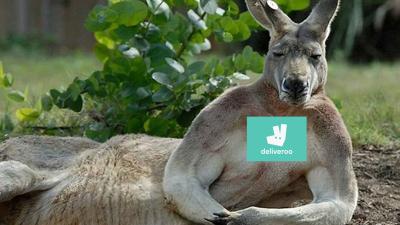 Deliveroo Is Offering Greater Sydney Free Delivery Bc No Such Thing As Calories In A Lockdown