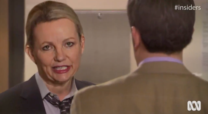 I Am Absolutely Howling At This Insiders Vid Of Aussie MPs As Characters From The Office