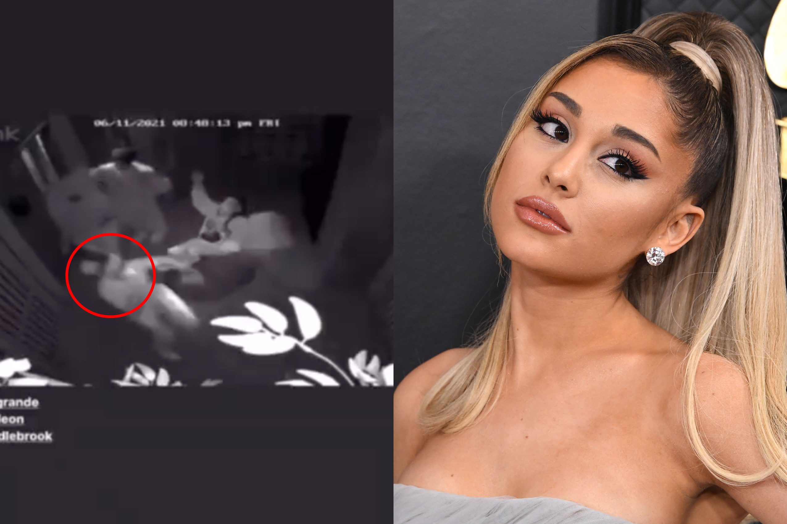 Harry Potter Ariana Grande Porn - Ariana Grande Fan Explains Why Her Deleted Instagram Story Just Isn't It