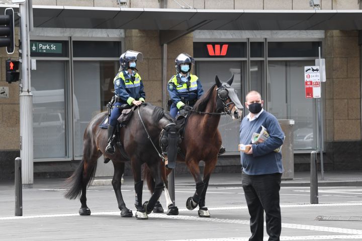No One Showed Up To The Anti-Lockdown Protest Today, Which Is Good Fkn News For Police Horses