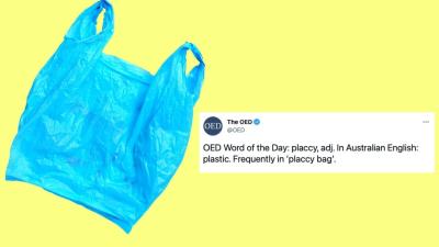 The Oxford Dictionary Reckons We Call Plastic ‘Placcy’ & Aussies Shut That Shit Down Real Quick