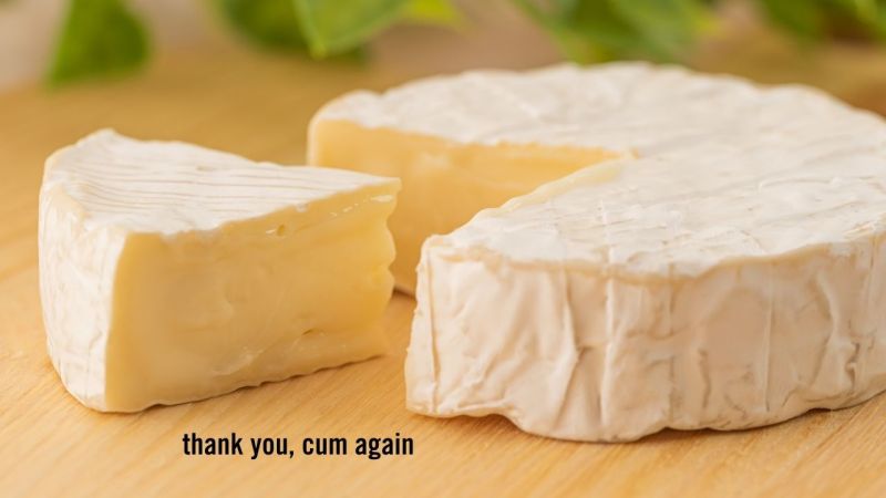 Why The Funk Does Brie Cheese Smell Like Cum? An Investigation