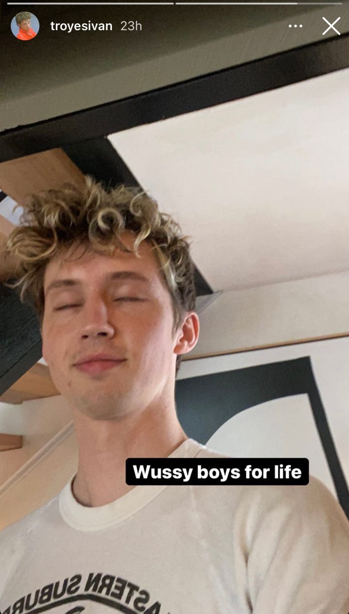 Troye Sivan Called Out Seven’s New Show For Airing A Scene Where Aussie Comedians Mocked Him