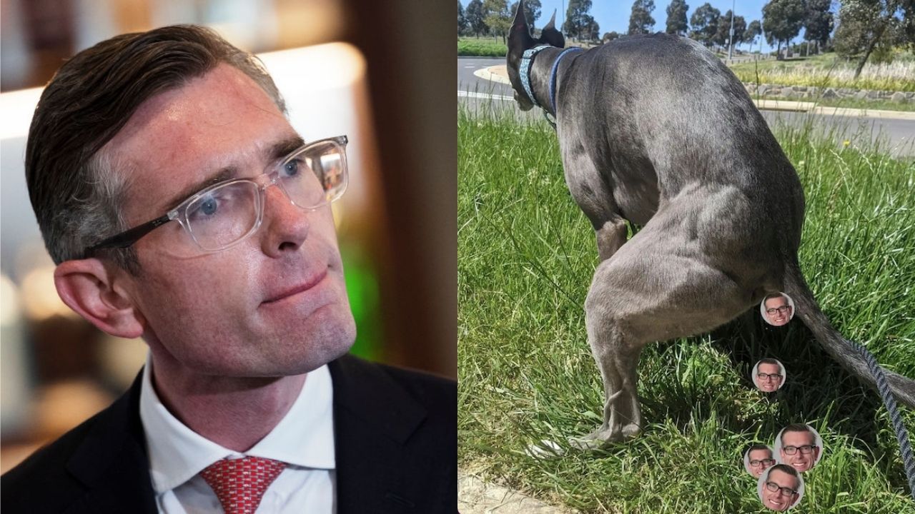 People Are Cyber-Flinging Dog Shit At Dom Perrottet Over His Support Of Greyhound Racing
