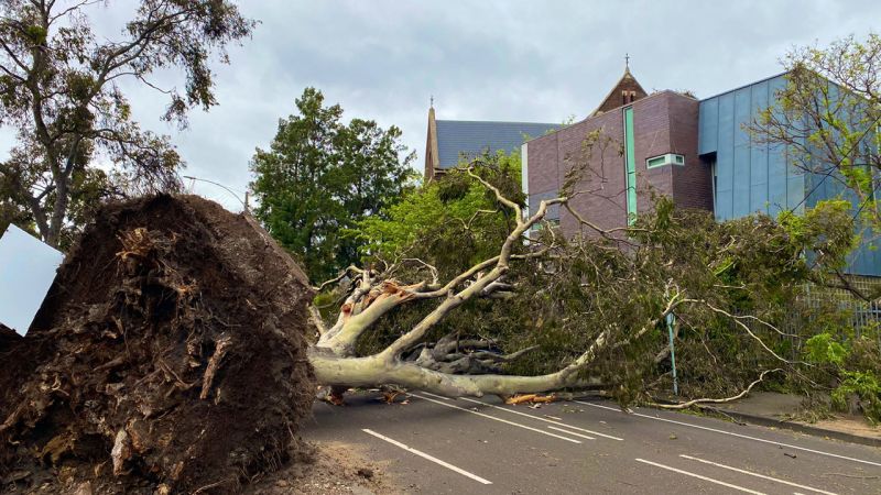 Melbourne’s Woken Up To Some Fkn Serious Damage After Last Night’s Big Storm Sesh