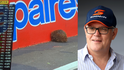 A Cheeky Echidna Stole The Show From Scott Morrison At Bathurst 1000 In A Big Day For Pricks