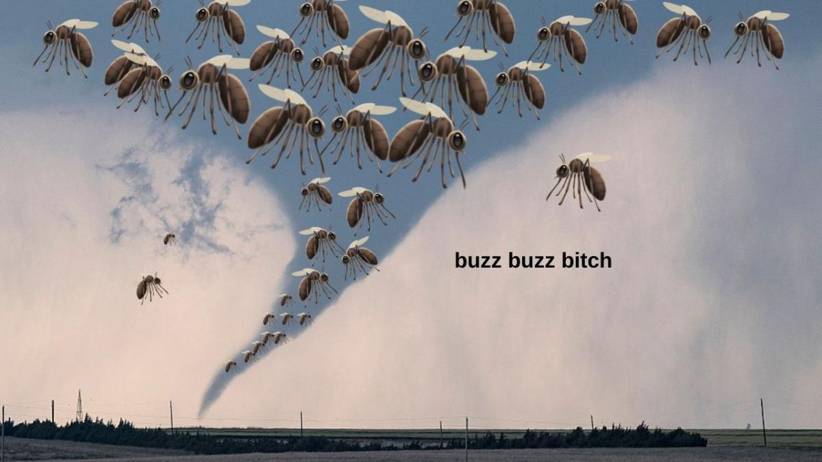 A tornado covered with mosquitos, captioned 'buzz buzz bitch'. In warning of La Niña weather effects.
