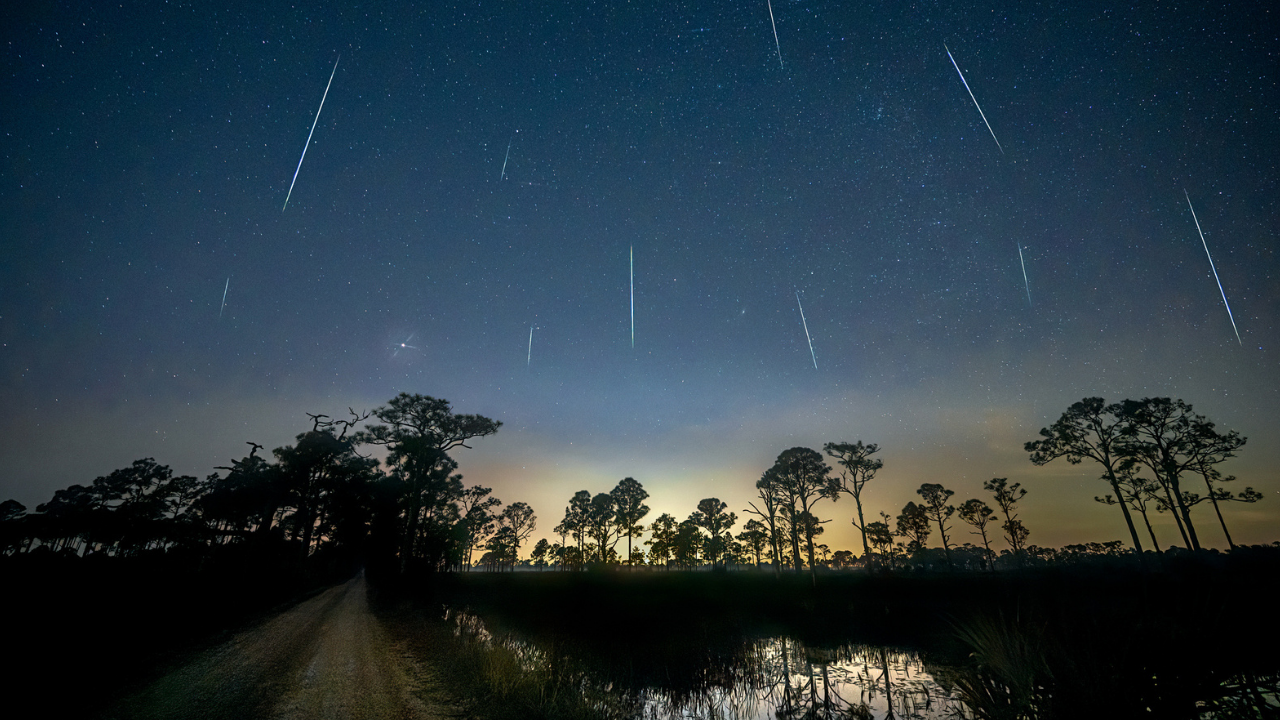 Here’s How To Watch The Best Meteor Shower Of The Year From Your Backyard This Week