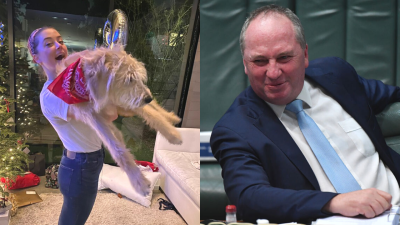Of Course Barnaby Joyce Gave An Infuriatingly Smug Response To Amber Heard Naming Her Dog After Him