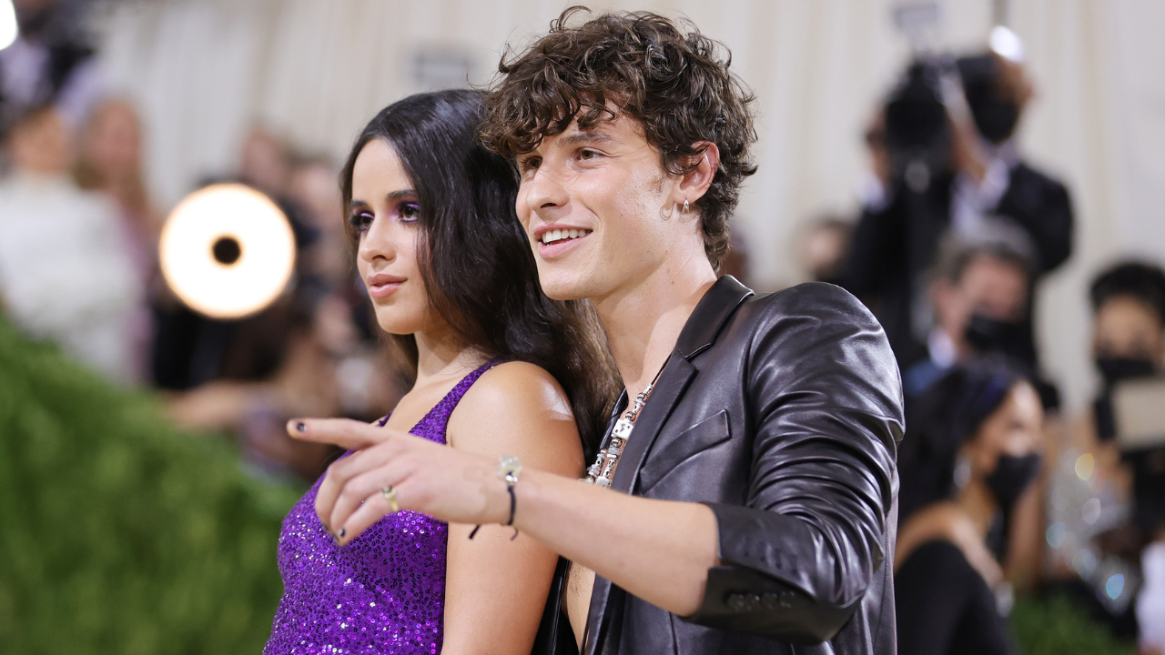 A Sneaky Pic And A Deuxmoi IG Story Reveal Shawn Mendes & Camila Cabello Are Hanging Out Again