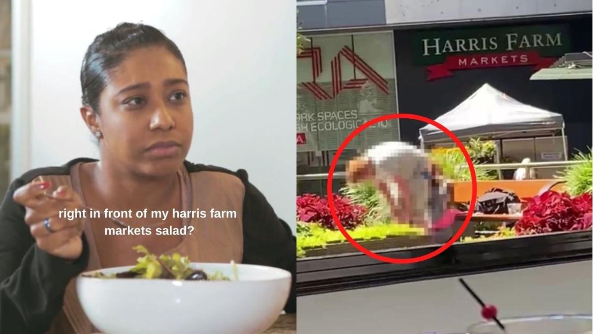 public sex act ass eating harris farm potts point sydney