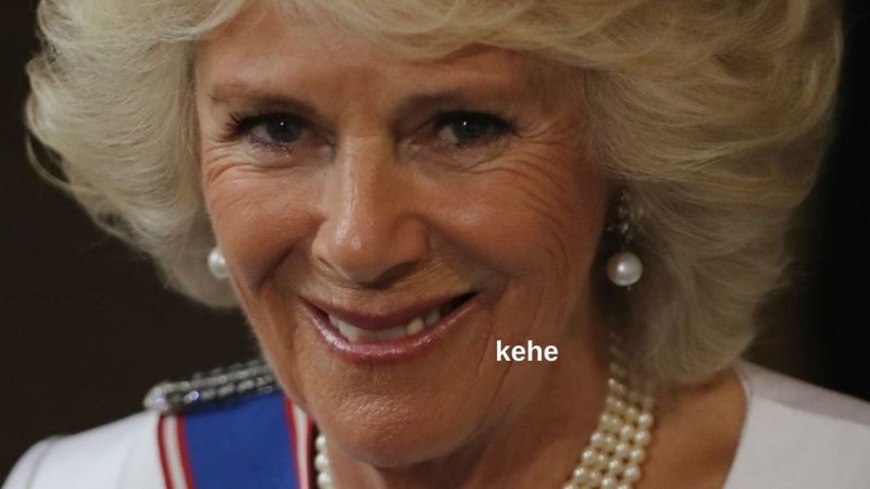 Definitely Alive Queen Elizabeth Has Named Camilla As The Next Queen & The Timing Is Suss AF