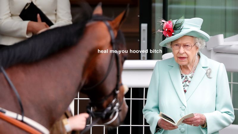 A Current Affair Apologises For Suggesting The Queen (Alive: Maybe, Sick: Yes) Licks Horse Paste