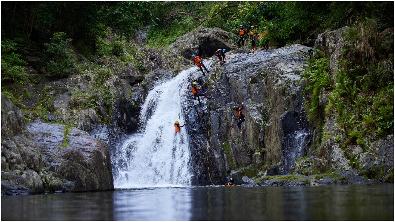 Where To Rappel Into Rainforest Pools In Aus If You’re Keen To Yeet Off Into Nature