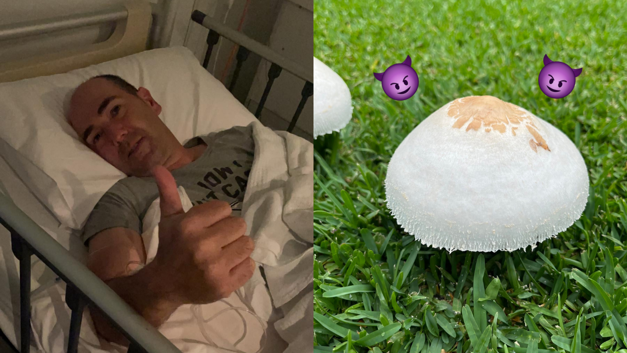 A Man Shared His Tale Of Being Hospitalised After Nibbling ‘Flood Mushrooms’ In A Wild FB Post