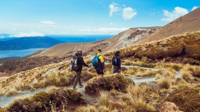 Hikers in New Zealand