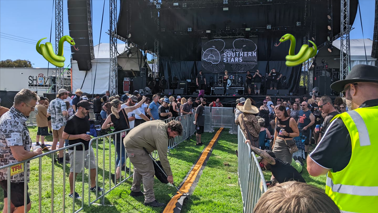 A SA Music Fest Was Put On Pause After A Hiss Puppy Turned The Mosh Into A Snake Pit