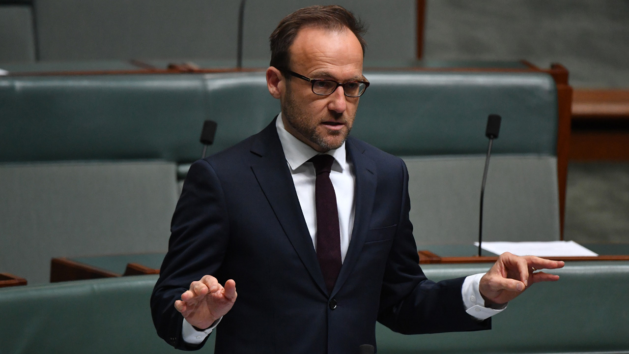 Adam Bandt Says Trans Rights Are ‘Non-Negotiable’ & Wants Medicare To Cover Gender Surgery