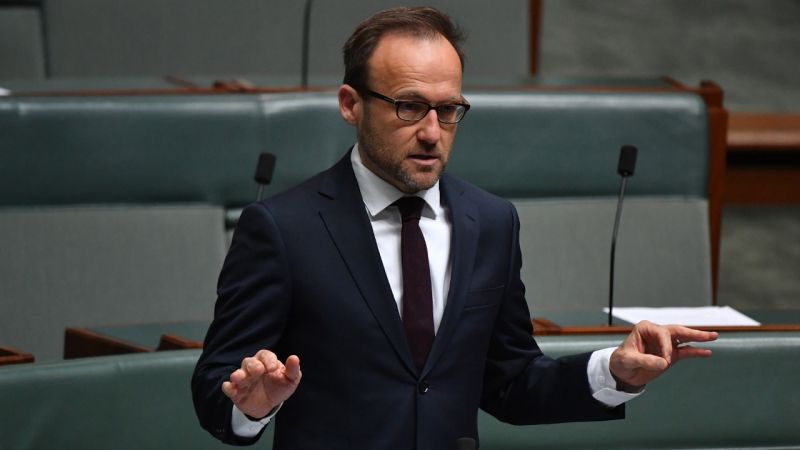 Adam Bandt Says Trans Rights Are ‘Non-Negotiable’ & Wants Medicare To Cover Gender Surgery