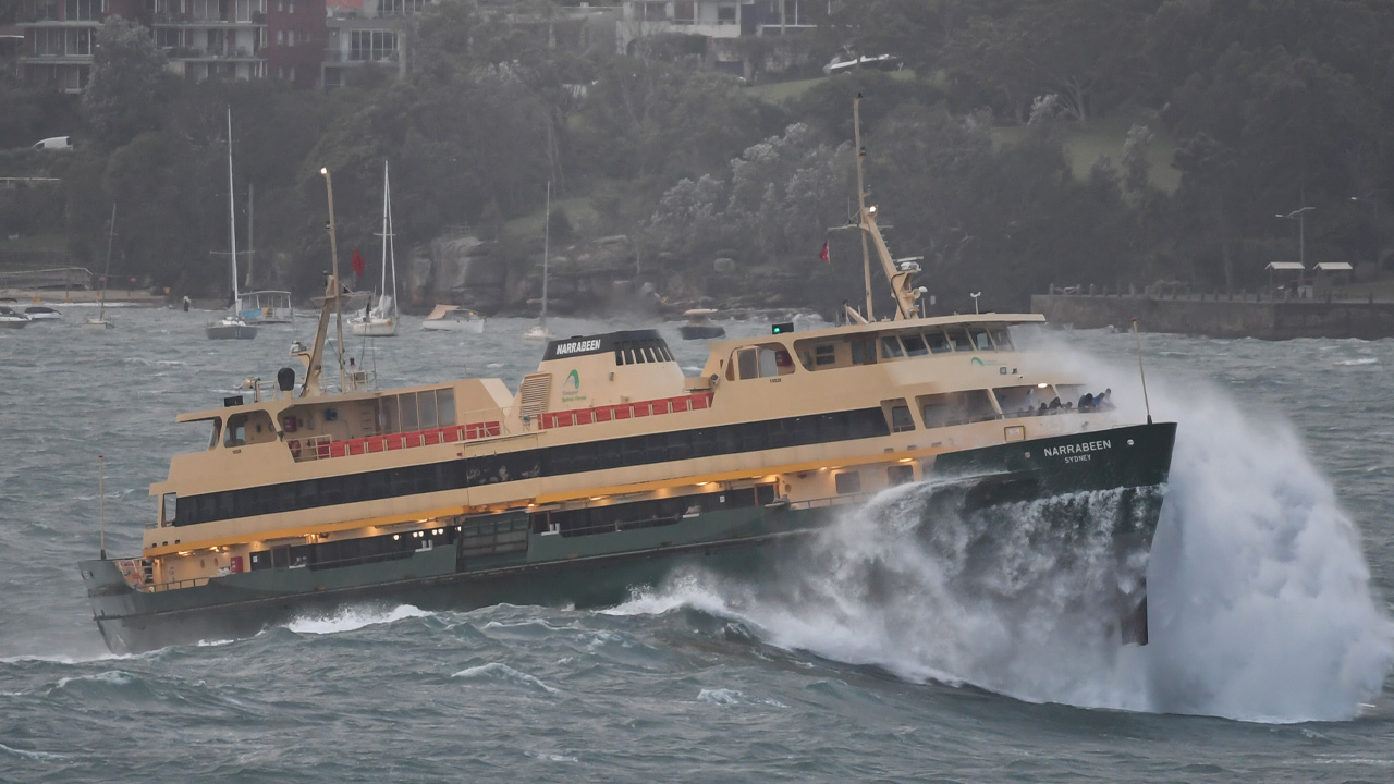 manly ferries airborne leaked memo