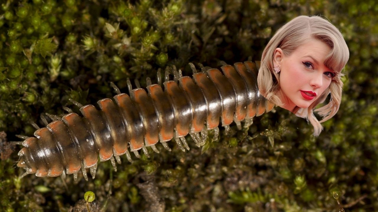 A Scientist Named A Whole Millipede Species After Taylor Swift & Her Impact Remains Unmatched