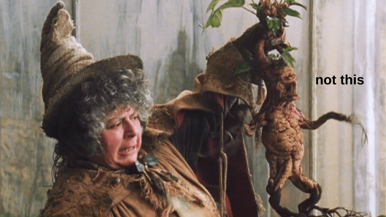 Professor Sprout Defended J.K.R’s Fkd TERF Views & Honestly We’d Rather Listen To Mandrakes Cry