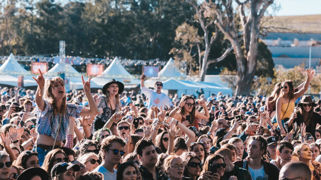 groovin-the-moo-cancels-pill-testing