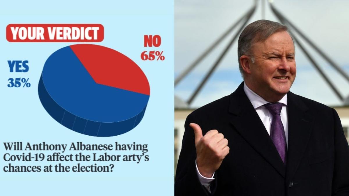 herald sun pie chart next to a picture of Anthony Albanese pointing and laughing