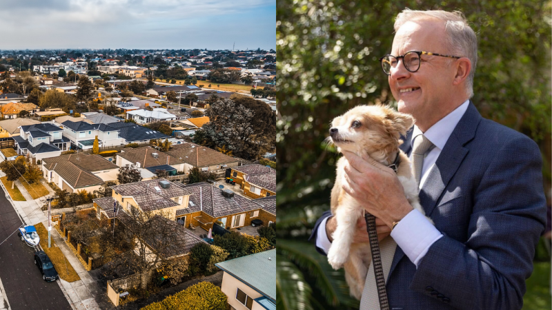 Labor Says It’ll Cop 40% Of First Home Costs So You Can Have A Backyard For Ur 23938 Doggos