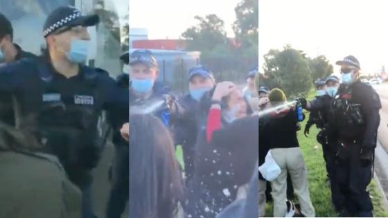 Screenshots that show Victoria Police shoving and pepper-spraying protesters