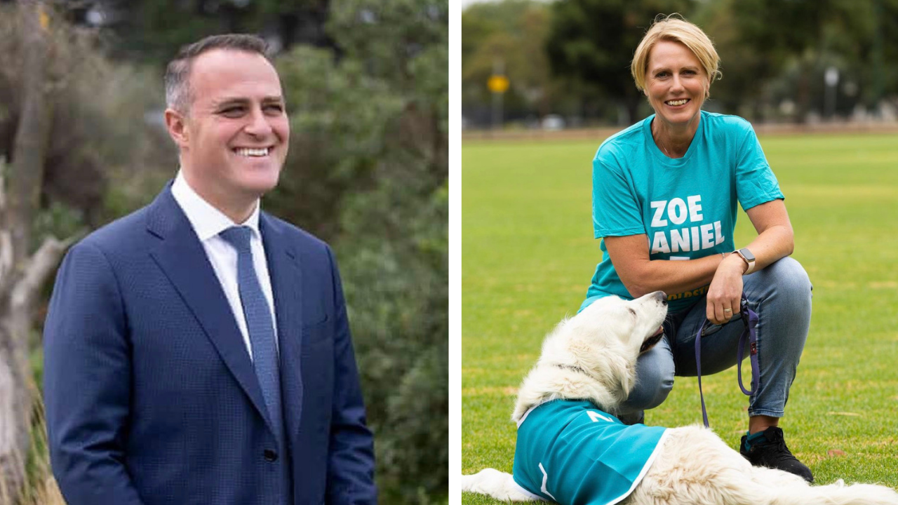 Noted Massive Pain In The Bum Tim Wilson Lost His Safe Liberal Seat To Ex-ABC Journo Zoe Daniel