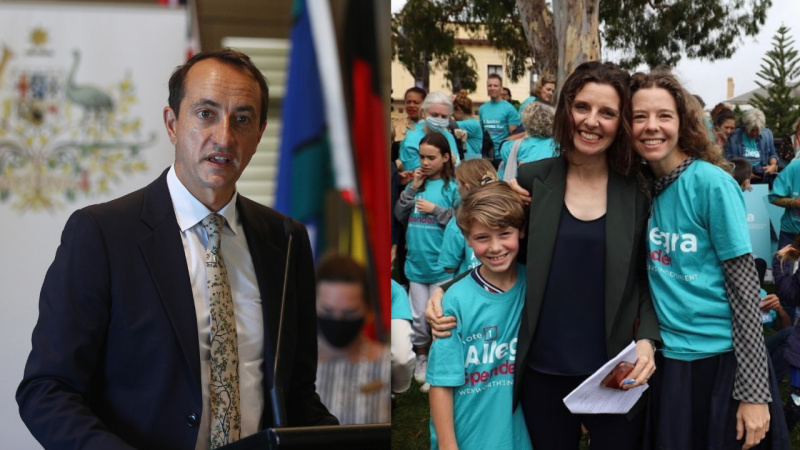 Human Yawn Dave Sharma Has Lost His Seat Of Wentworth To Teal Independent Allegra Spender