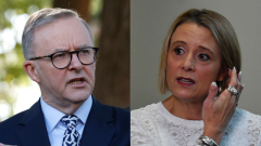 Albanese Has Finally Broken His Silence On Kristina Keneally’s Controversial Election Loss