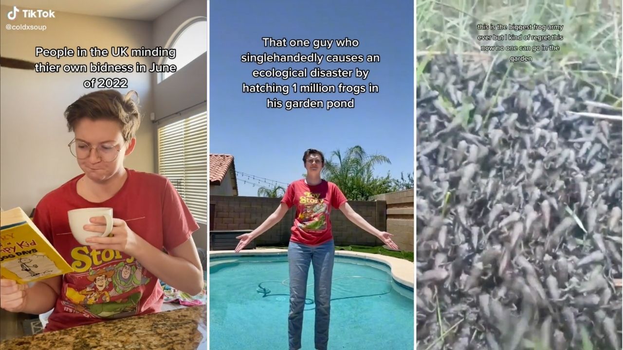 Pls Enjoy The Ribbeting Saga Of TikTok’s ‘Frog Army’ Which May Or May Not Be A Giant Hoax