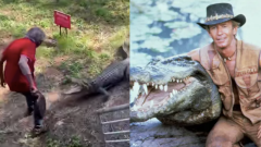 Budget Crocodile Dundee: A NT Pub Owner Gave A Left-Right Goodnight To A Croc W/ A Frying Pan