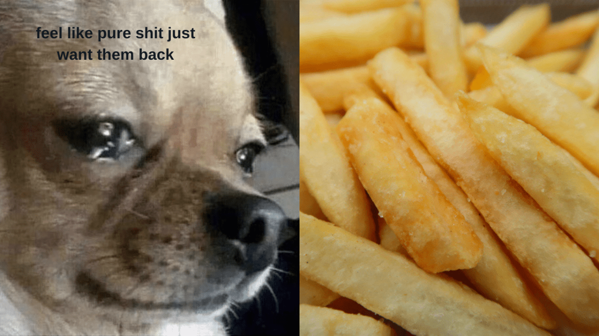 Meme of a dog crying with the text 'feel like pure shit just want them back' and a photo of crispy hot chips