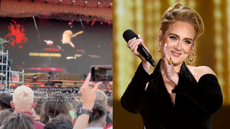 Responsible Queen Adele Paused Her Fkn Huge London Gig To Check If A Fan In The Crowd Was OK