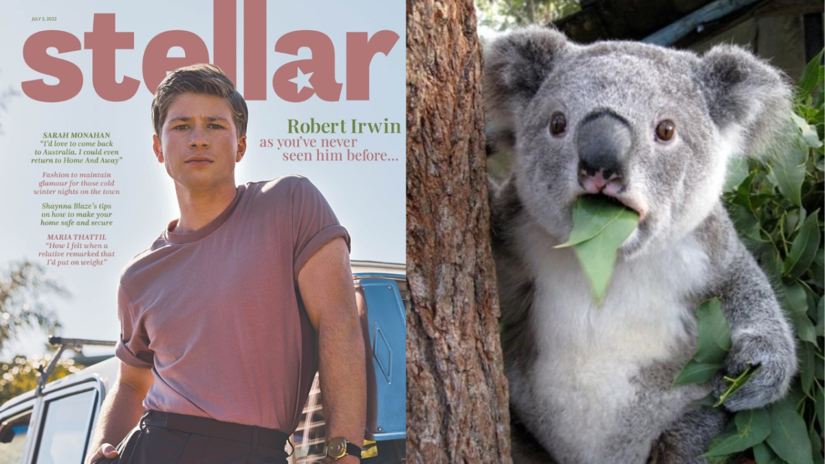 Robert Irwin Stellar magazine cover and photo of surprised koala