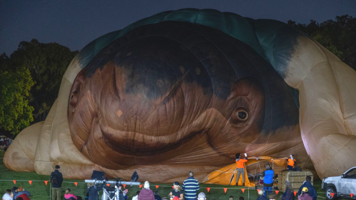 Hot air balloon Skywhale deflated