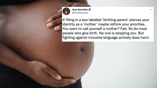 The Government Has Removed The Term ‘Birthing Parent’ From A New Form After A Singular Complaint