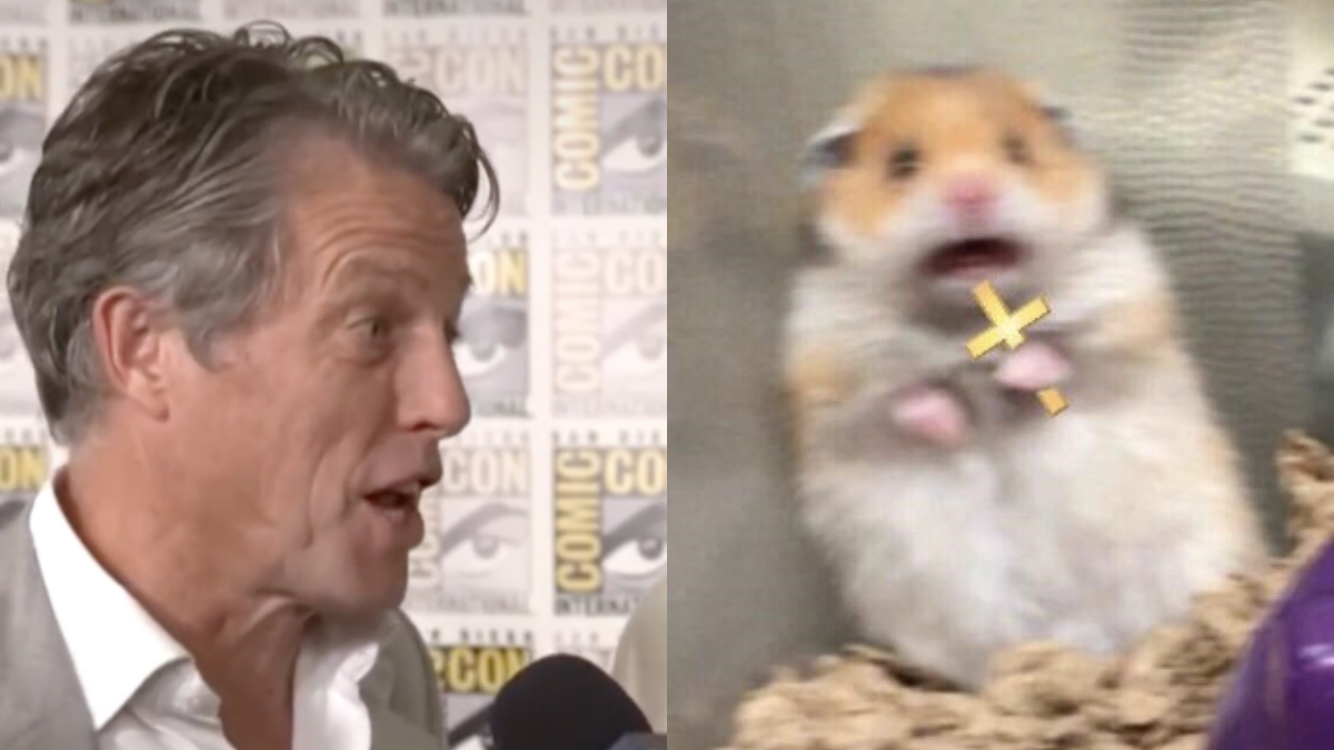 Photo of Hugh Grant in an interview and a scared hamster holding a crucifix