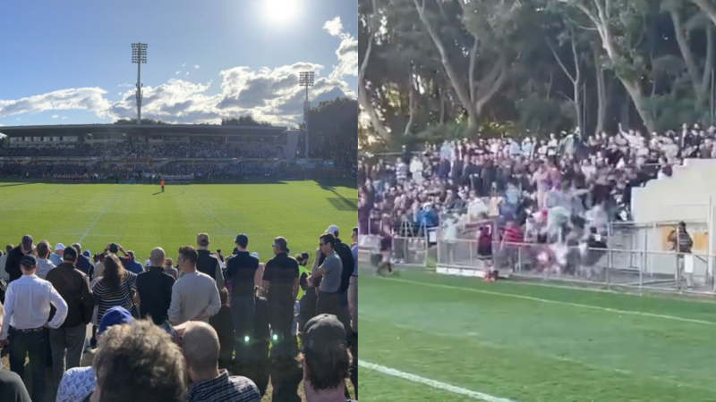 Oh My Word: A Cheering Crowd Fell Onto Concrete After A Railing Gave Way At A Sydney Rugby Game
