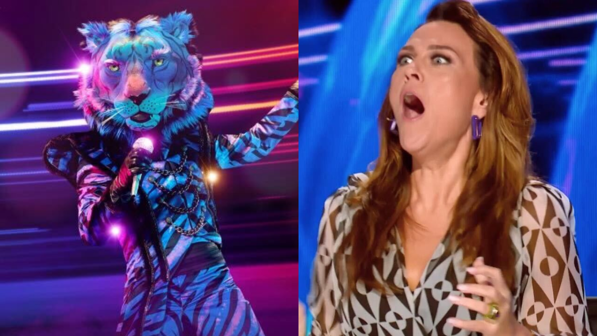 Jamie Durie is revealed as the masked singer au's tiger
